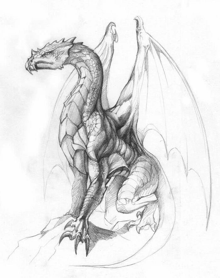black and white pencil sketch, dragon sitting on a rock, dragon back tattoo, white background