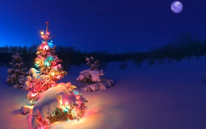 tree covered with snow, decorated with colorful lights, winter background, moon in the sky, snow covered ground