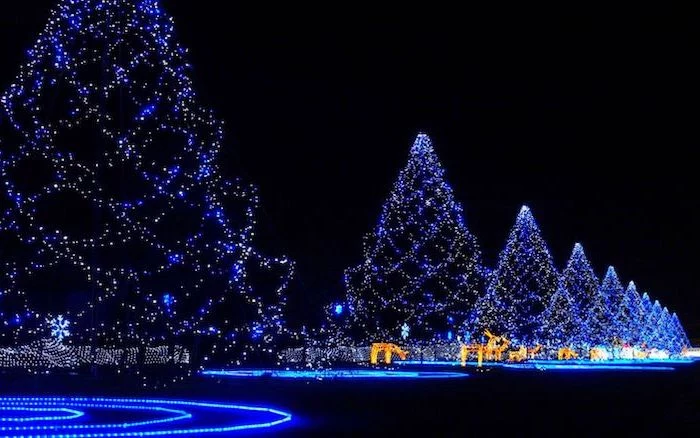 christmas tree shaped strings of lights, snow wallpaper, lights glowing in blue, deer figurines with golden lights, black background