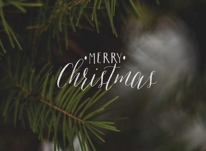 merry christmas written over dark background, snow wallpaper, tree branches in the background