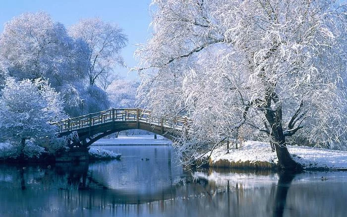 bridge over a river, surrounded by tall trees, covered with snow, snow wallpaper, blue sky