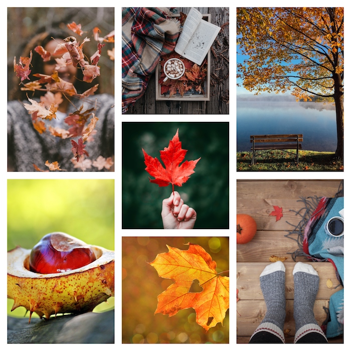 photo collage of different fall pictures, fashion trends, autumn landscapes and fall leaves