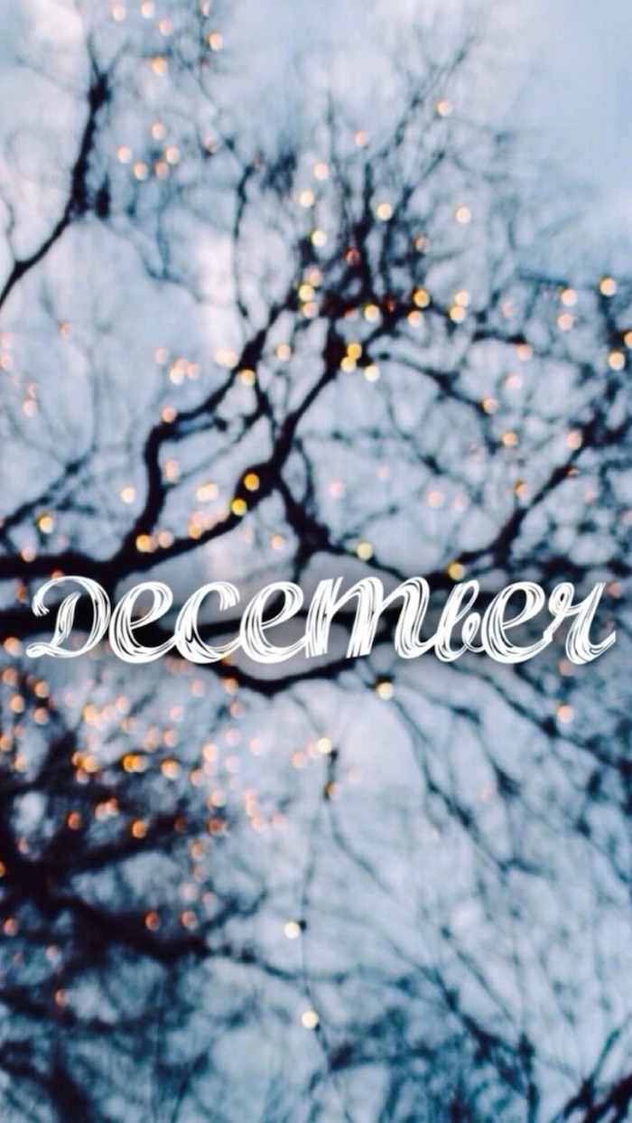 december written over tree branches, intertwined with lights, wallpapers and backgrounds, blurred background