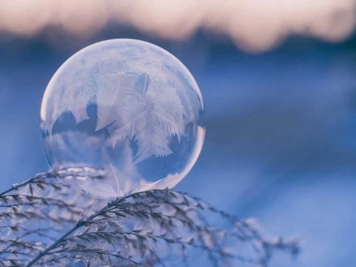 frozen bubble, sitting on a tree branch, winter background, snowflakes in the ice, blurred background