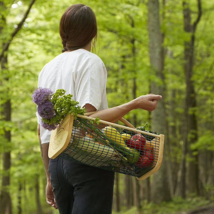 woman with braided brown hair, carrying a harvest basket full of fruits and vegetables, christmas gifts for mothers