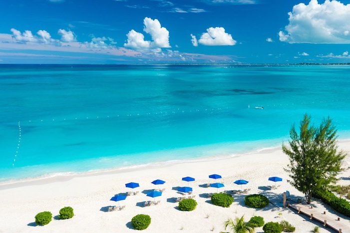 grace bay in turks and caicos, beautiful beaches, clear turquoise water, blue umbrellas trees and bushes on white sand