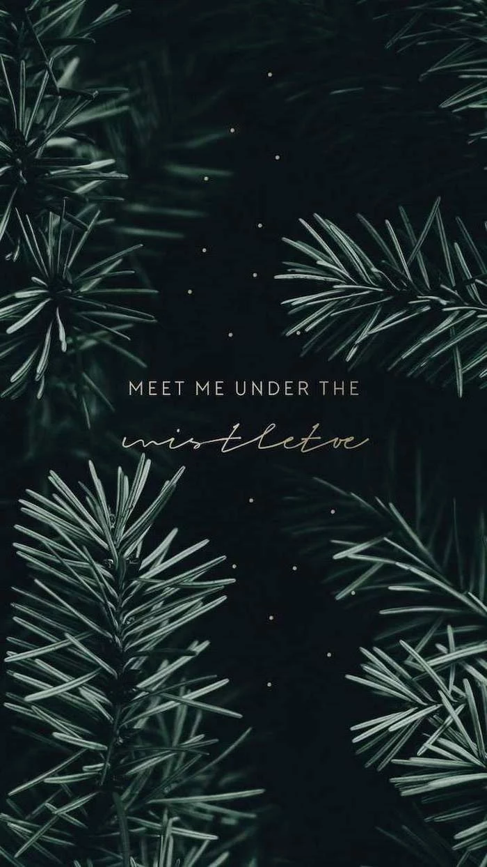 meet me under the mistletoe, written over black background, screen saver wallpaper, tree branches in the corners