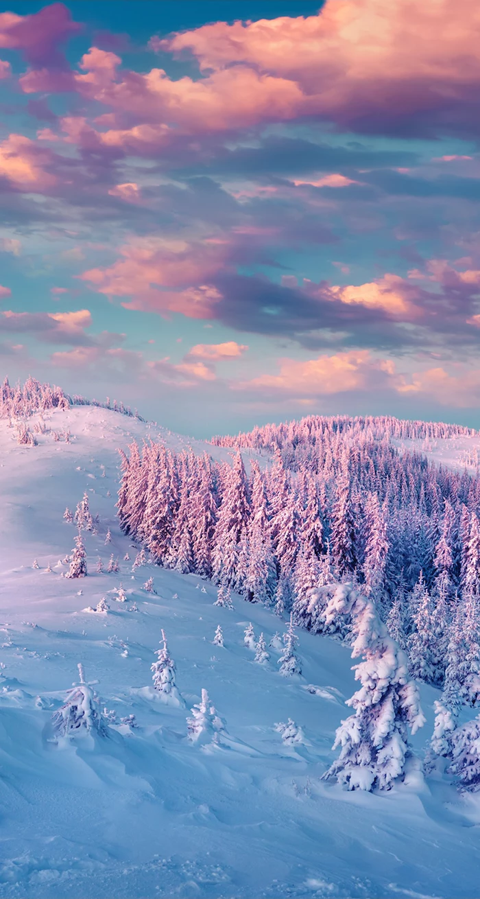 mountain landscape at sunset, desktop backgrounds, lots of trees covered with snow, pink clouds in the sky