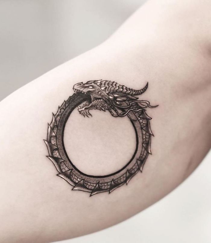 Ouroboros Dragon