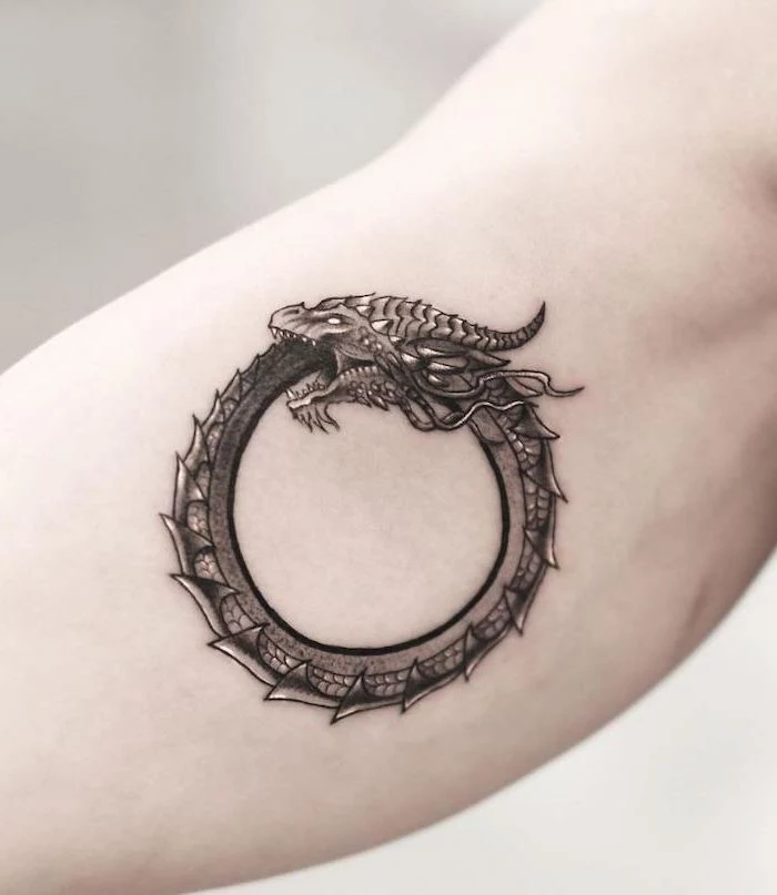 ouroboros dragon tattoo, what does a dragon symbolize, inside arm tattoo, white background