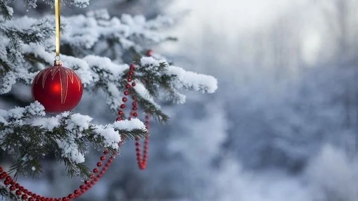 desktop backgrounds for windows 10, red bauble and pearl garland, hanging over tree branches, covered with snow