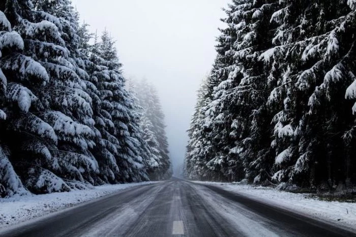 two lane road going through a forest, desktop backgrounds for windows 10, tall trees on both sides, covered with snow