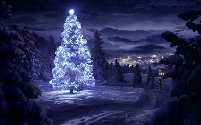 tall tree covered with snow, decorated with white led lights and star on top, laptop wallpaper, snow covered ground and trees