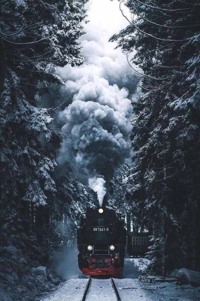 steam train going through a forest, tall trees on both sides of the rail road, covered with snow, desktop backgrounds
