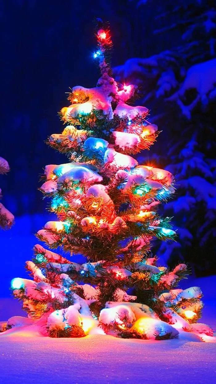 tree covered with snow, decorated with colorful lights, desktop backgrounds, snow covered ground