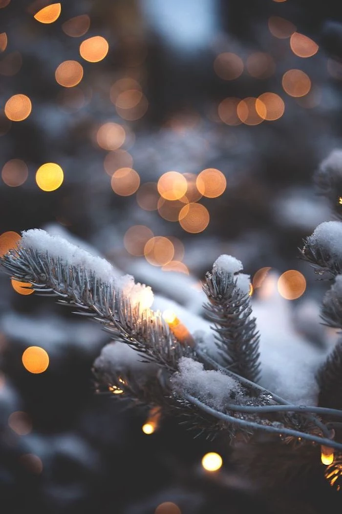 cool computer backgrounds, tree branches covered with snow, lights intertwined with them, blurred lights in the background