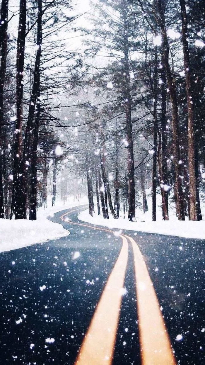 two lane road going through the forest, tall trees on both sides, covered with snow, cool computer backgrounds, snow falling