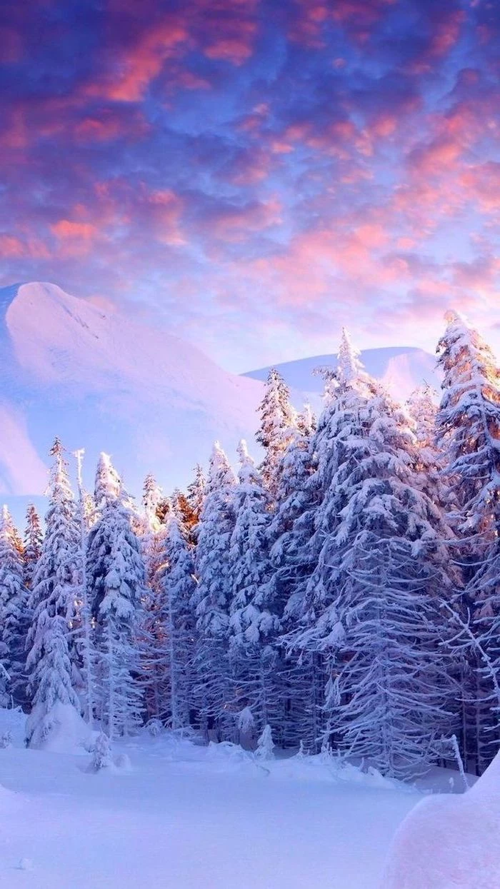 mountain landscape at sunrise, tall trees covered with snow, desktop backgrounds, mountain peak in the background