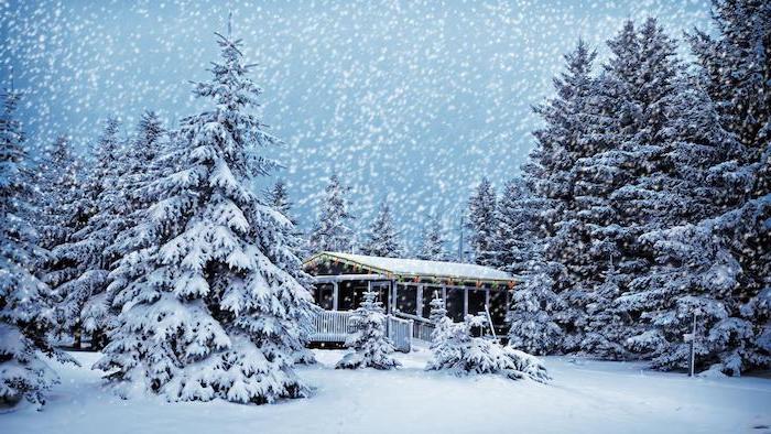 cabin in the woods, surrounded by tall trees, covered with snow, snow falling