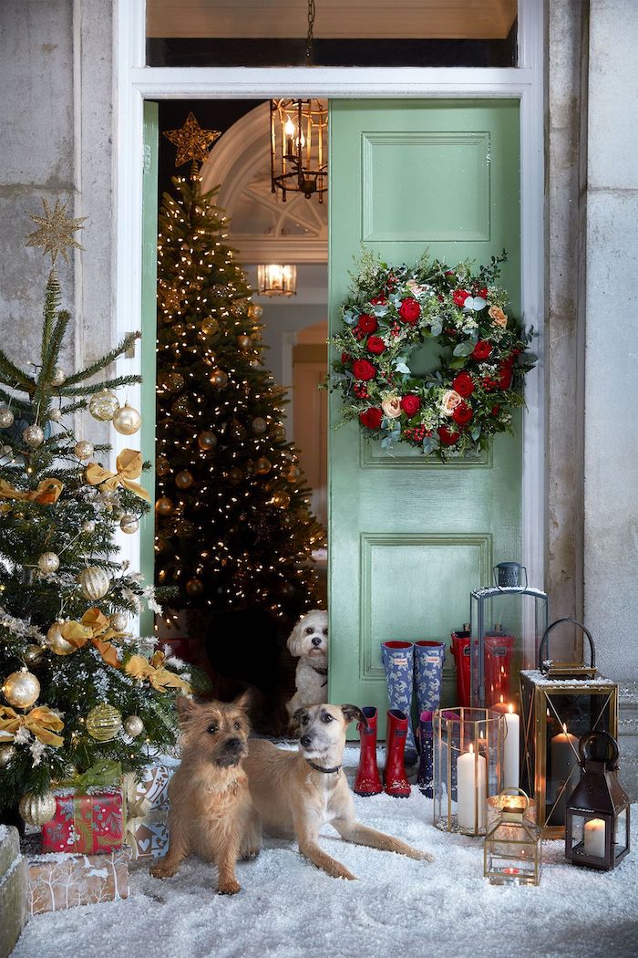 outdoor christmas decorations, decorated christmas trees and wreath on the door, lanterns and dogs standing in front of the door