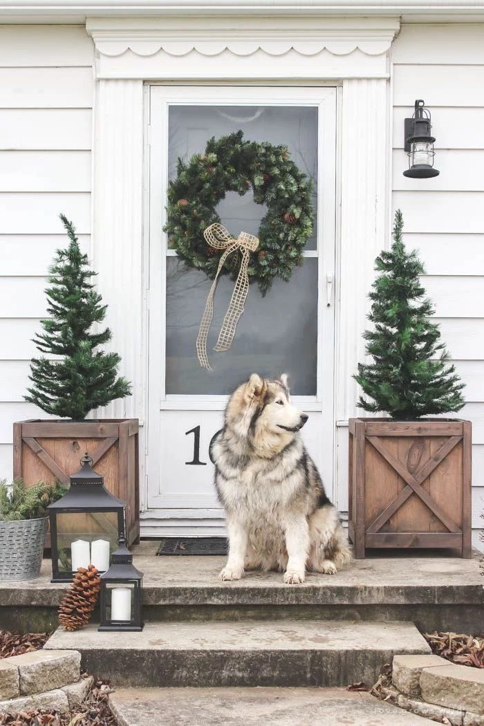 wreath on white door, two trees in wooden crates, dog standing on the stairs, outdoor christmas decorations ideas