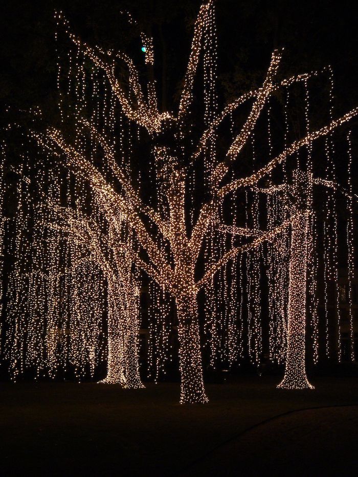 christmas porch decorations, lots of fairy lights, hanging from tall trees, black background