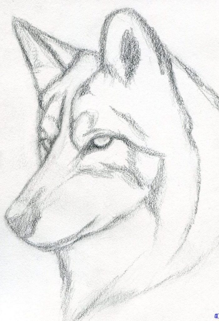 Featured image of post Pencil Cute Dog Drawing - Add circles for the head.