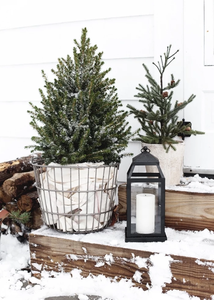 small trees in pots, candle lantern, placed in the snow, on wooden staircase, grinch outdoor christmas decorations