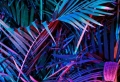 90 ideas for a gorgeous aesthetic wallpaper for both your phone and laptop