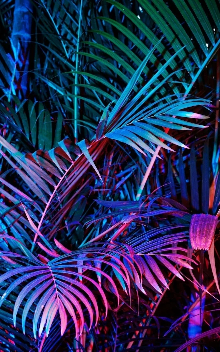 photograph of palm trees, illuminated in green pink and blue, aesthetic wallpaper, dark aesthetic