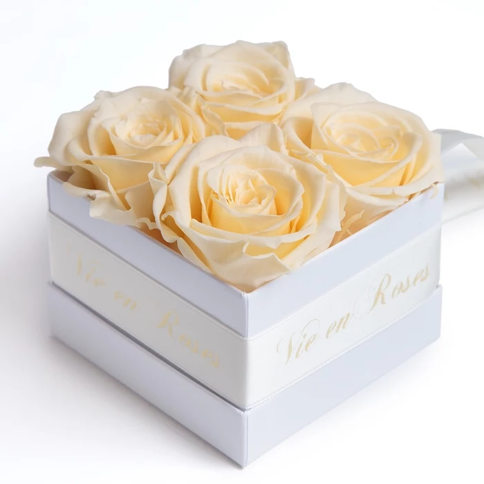 valentines day ideas for her, four white roses inside white square box, white satin bow around it, vie en roses