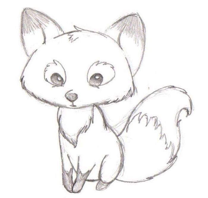 drawing of a baby fox, black and white pencil sketch, step by step drawing, white background