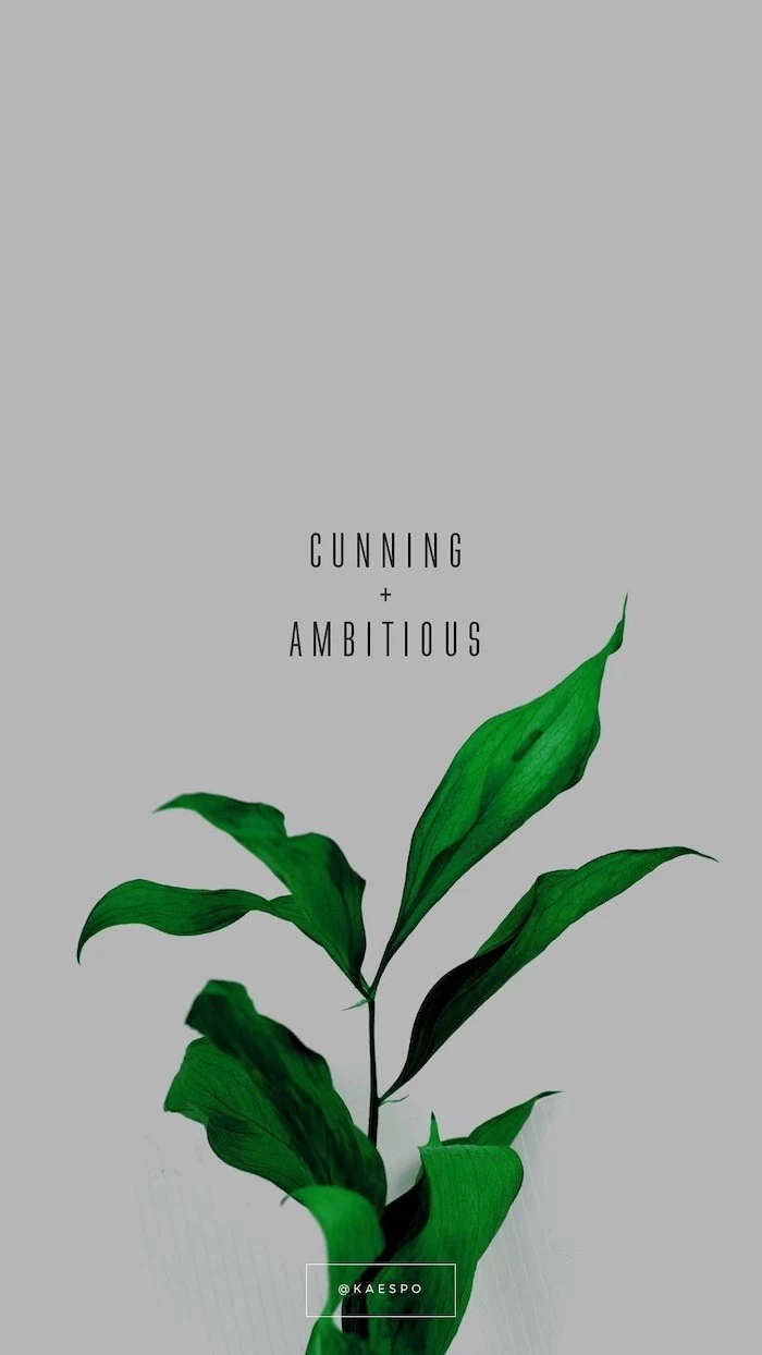 cunning and ambitious, written over grey background, pinterest wallpaper, above green plant, aesthetic phone backgrounds