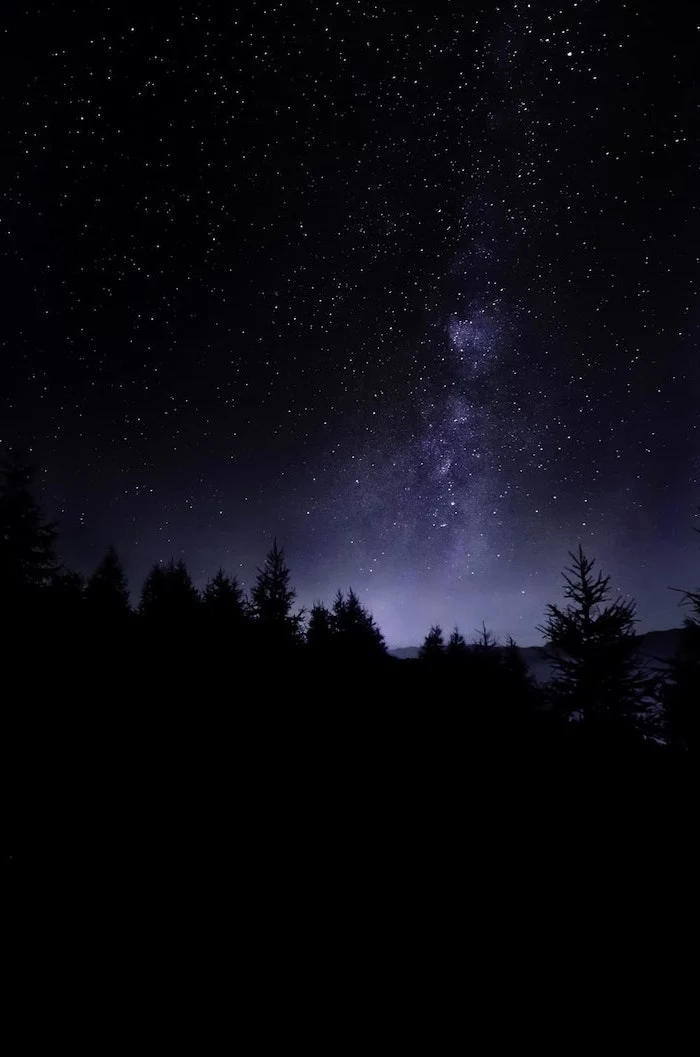 dark sky filled with stars, above a dark forest with tall trees, forest landscape, photographed at night