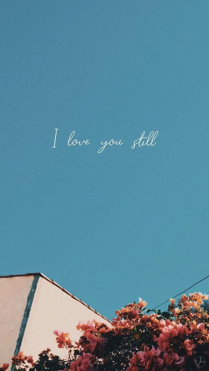 i love you still, written over the background of blue sky, cute aesthetic wallpapers, flower bush in the corner
