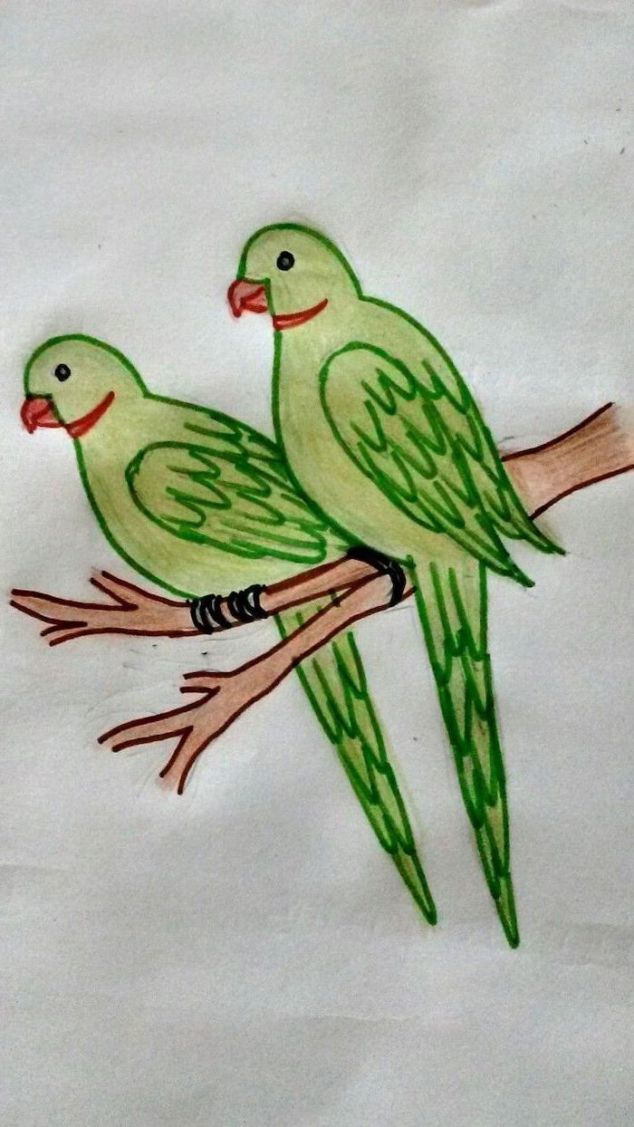 dois pássaros verdes, de pé sobre um ramo, simples e fácil de desenhos coloridos com lápis no fundo branco, fresco desenhos fácil para as crianças