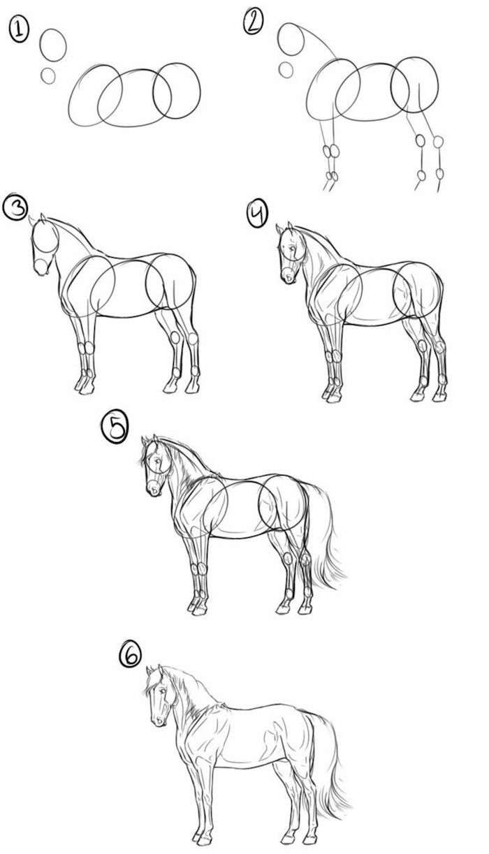 desenhos para desenhar, como desenhar um cavalo em seis etapas, preto e branco e lápis de desenho, passo a passo tutorial diy