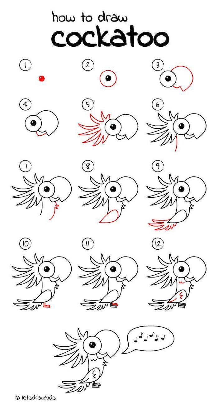 ho wto draw a cockatoo in twelve steps, step by step diy tutorial, easy sketches to draw, black and white sketch