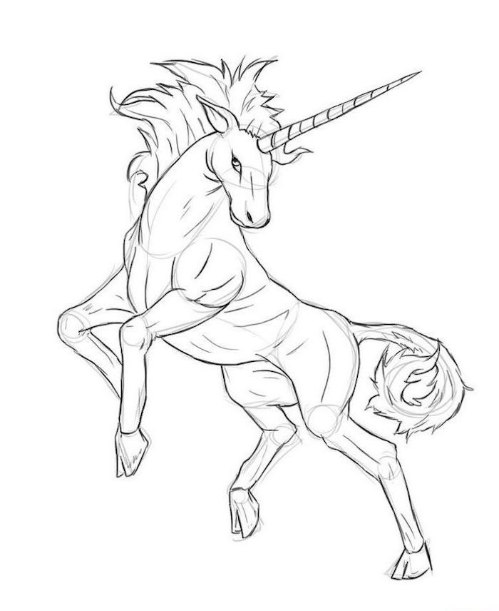 1001 Ideas On How To Draw A Unicorn Easy Tutorials