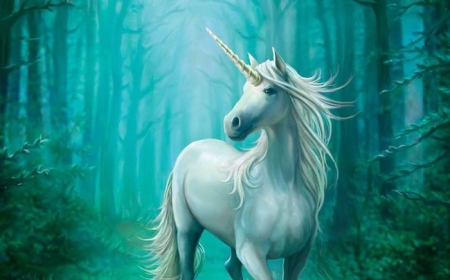 How to draw a unicorn – easy tutorials + pictures