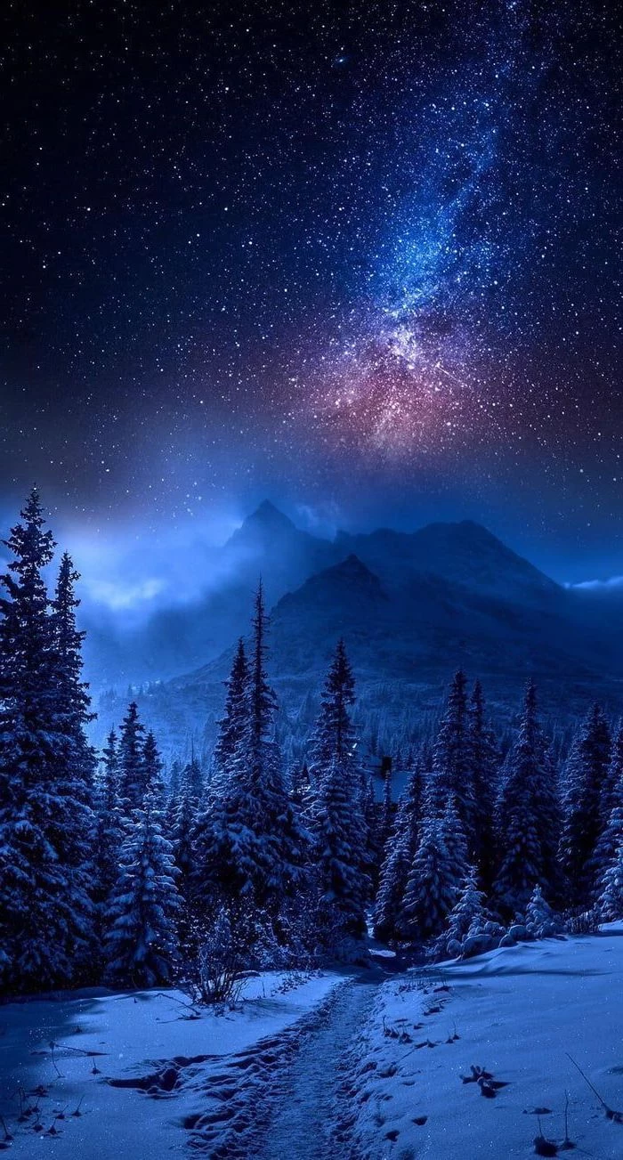 forest mountain landscape, covered with snow, space wallpaper iphone, sky filled with stars above