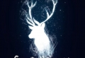 70 ideas for a magical Harry Potter wallpaper