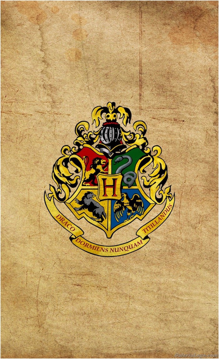 hogwarts: a dark legacy