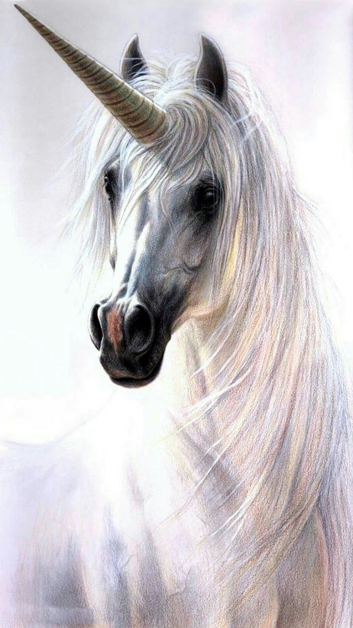 painting of a white unicorn, how do you draw a unicorn, painted on white background, realistic painting