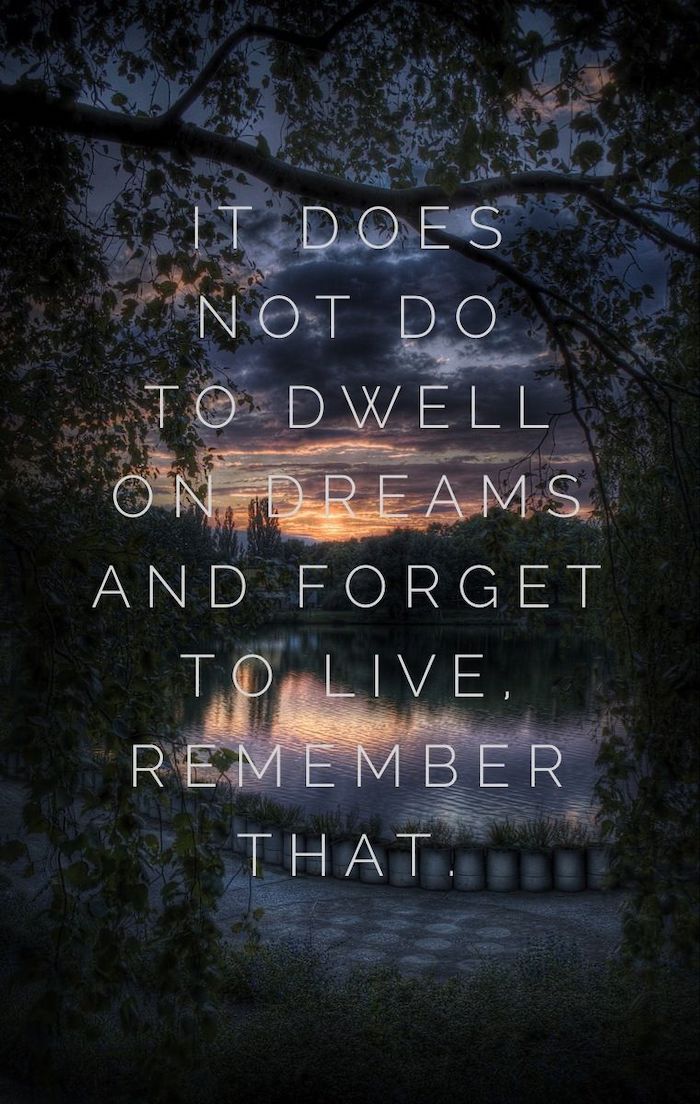 i does not do to dwell on dreams and forget to live, famous movie quote, harry potter desktop wallpaper, written over forest landscape image