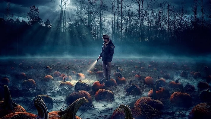 jim hopper holding a flashlight, stranger things wallpaper iphone, standing in the middle of pumpkin patch field
