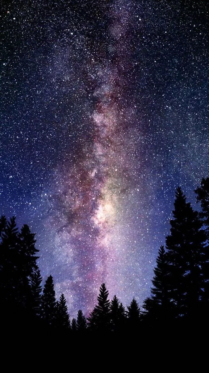 dark forest landscape with tall trees, space desktop backgrounds, sky filled with stars above the trees