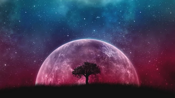 cartoon image of a tree, planet and galaxy behind it, purple galaxy background, sky filled with stars in blue and purple