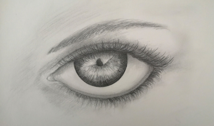 black pencil sketch on white background, how to draw eyelashes, drawing of an eye with thin eyebrow above it