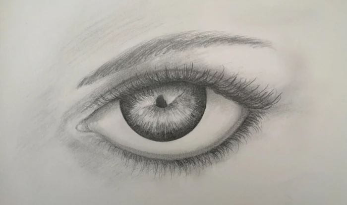 black pencil sketch on white background, how to draw eyelashes, drawing of an eye with thin eyebrow above it